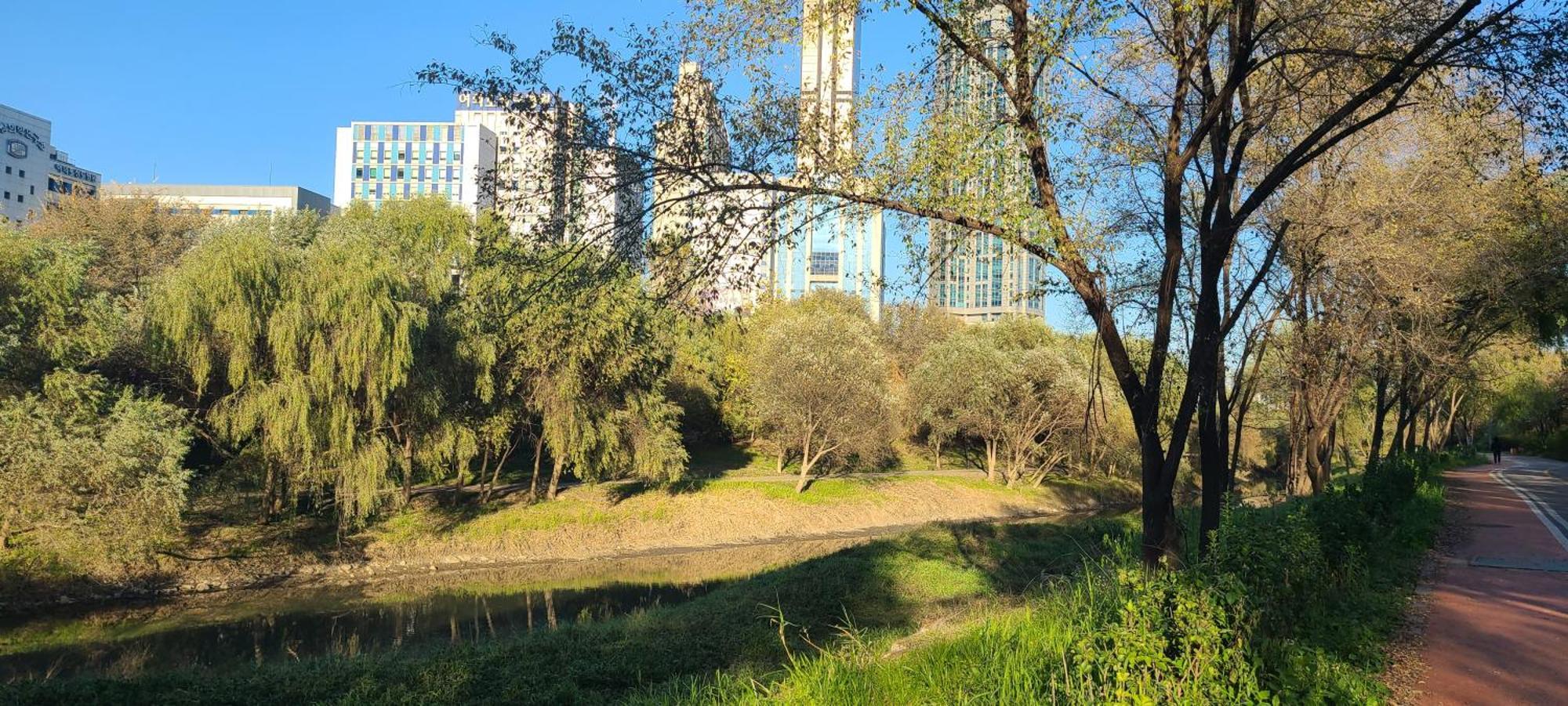 Yeouido Stay Seoul Eksteriør bilde